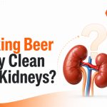 Does Drinking Beer Really Clean Your Kidneys?
