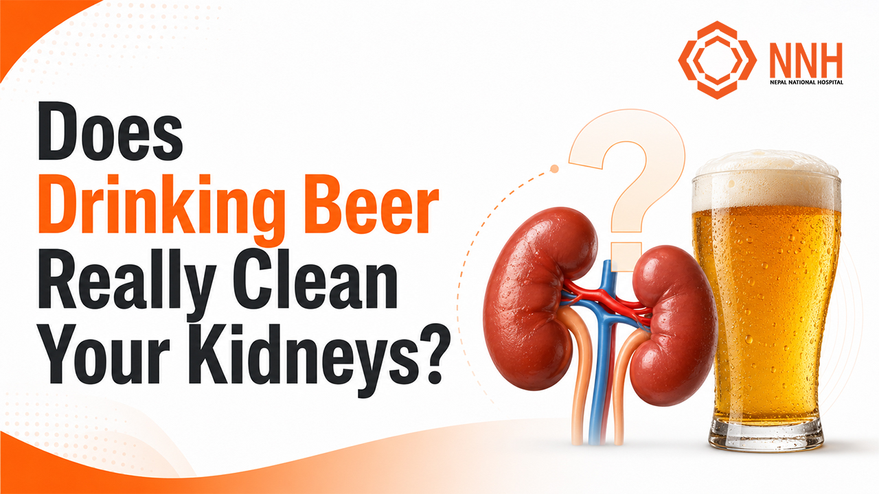 Does Drinking Beer Really Clean Your Kidneys?